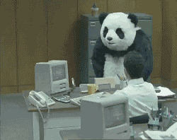 Panda quitting his job